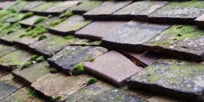 Little Waltham roof repair costs